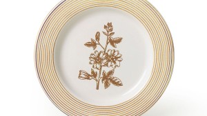 Floral Essence Assos Pasta Tabağı 22 Cm 4 Adet / 22890-93-94-22949