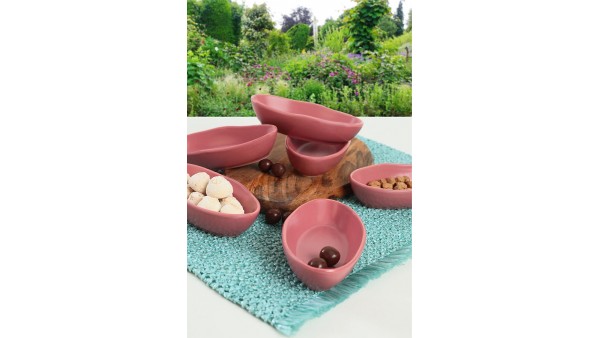 Mat Gül Kurusu Deniz Çerezlik/Sosluk 14 Cm 6 Adet