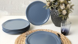 Mat Mavi Bloom Pasta Tabağı 24 Cm 6 Adet 399