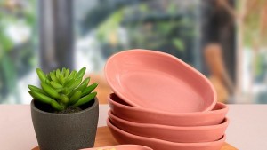 Gül Kurusu Deniz Çerezlik/Sosluk 14 Cm 6 Adet