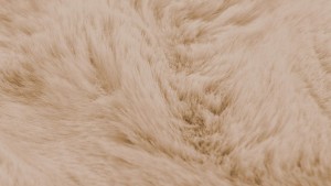 Angora Tavşan Tüyü Vizon Peluş Halı | Model ANG06